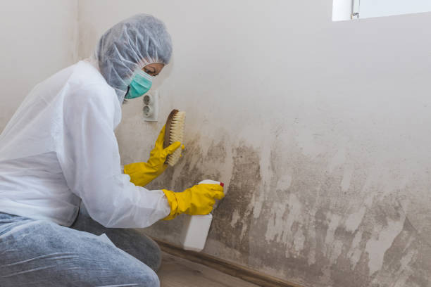 Water Damage Restoration in Golden Gate, FL