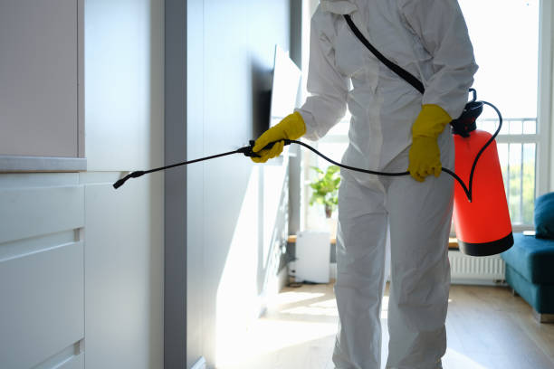 Best Mold Remediation Experts  in Golden Gate, FL